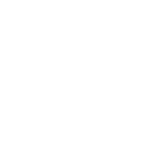 Physically Challenged